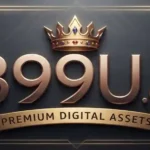 899U Game logo
