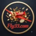Fly33 Game Logo