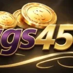 WGS456 Game Logo